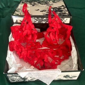 Red Lace Mesh Bra and Panty Set
